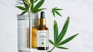 Is CBD Oil Beneficial for Pets?